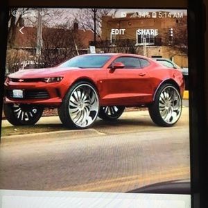 Meet your Posher, Alvin